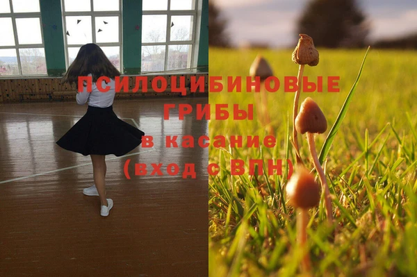 apvp Алзамай