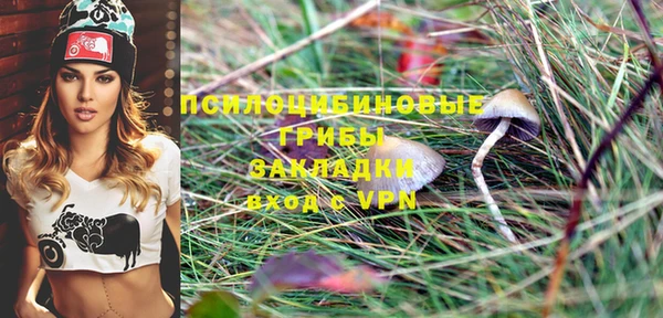 apvp Алзамай