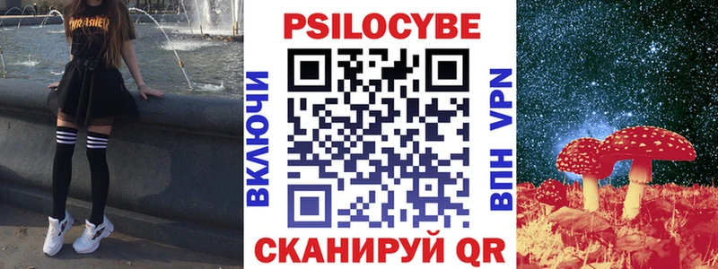 где купить наркоту  mega как войти  Галлюциногенные грибы Magic Shrooms  Краснознаменск 
